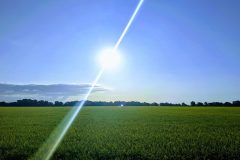 Bright sun in a blue sky over a green field
